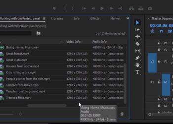 Work with the Project panel