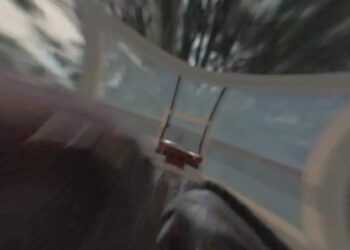In And Out Zoom Transition