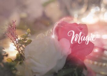 Wedding Slideshow