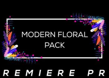 Modern Flower Pack