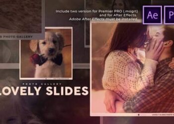 Lovely Slides Photo Gallery