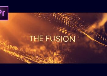 The Fusion
