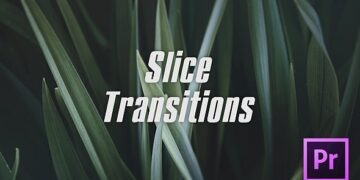 Slice Transitions