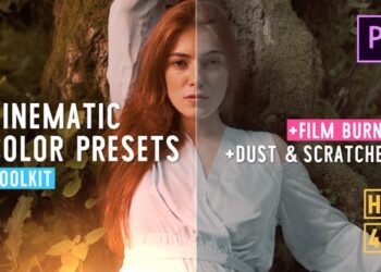 Cinematic Color Presets – Premiere Pro